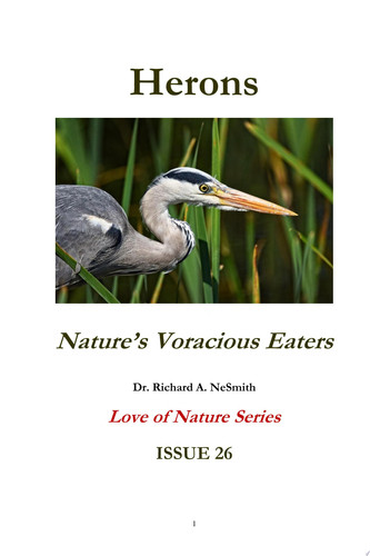 Cover of Herons: Nature's Voracious Eaters